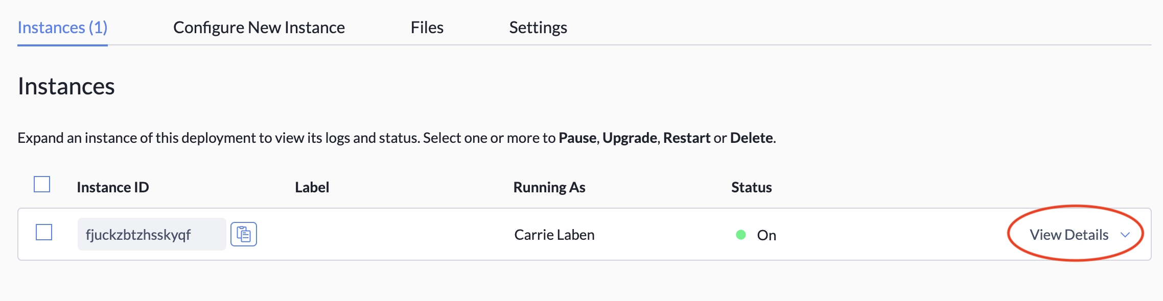 The Instances screen, with the View Details link at the right highlighted.