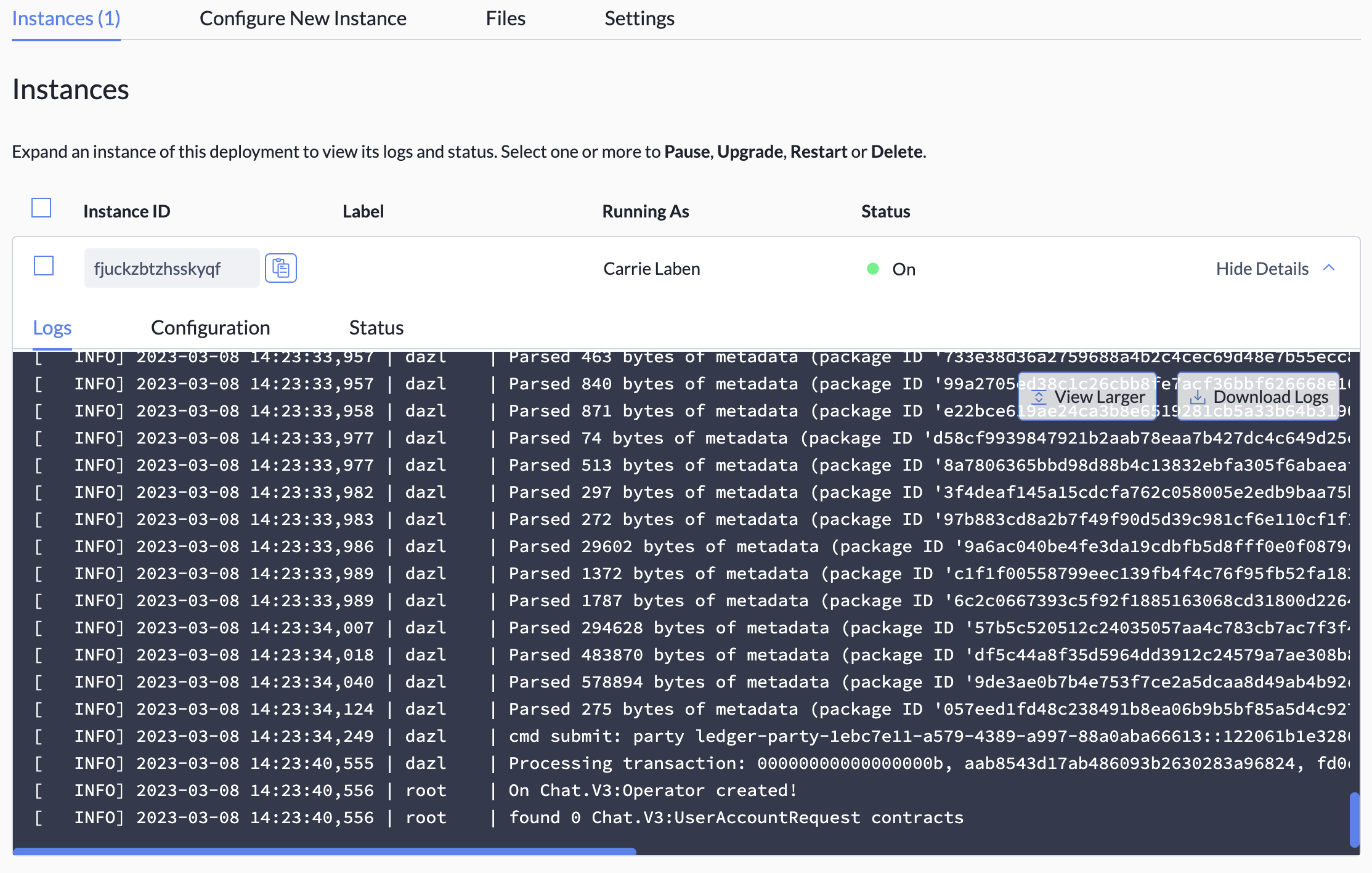 The logs view, with the "View Larger" and "Download Logs" buttons visible.
