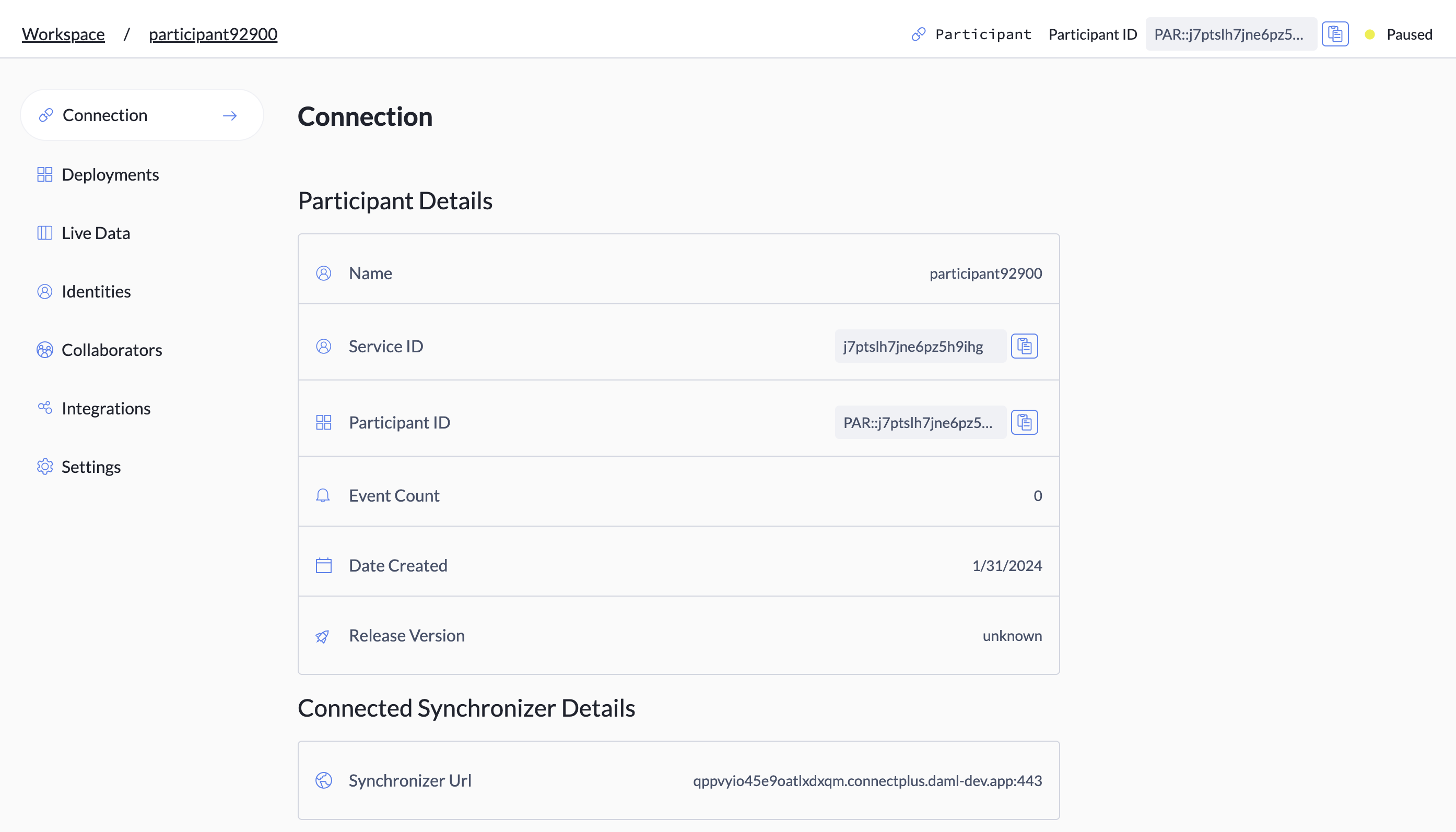 The Connection tab with connection details.